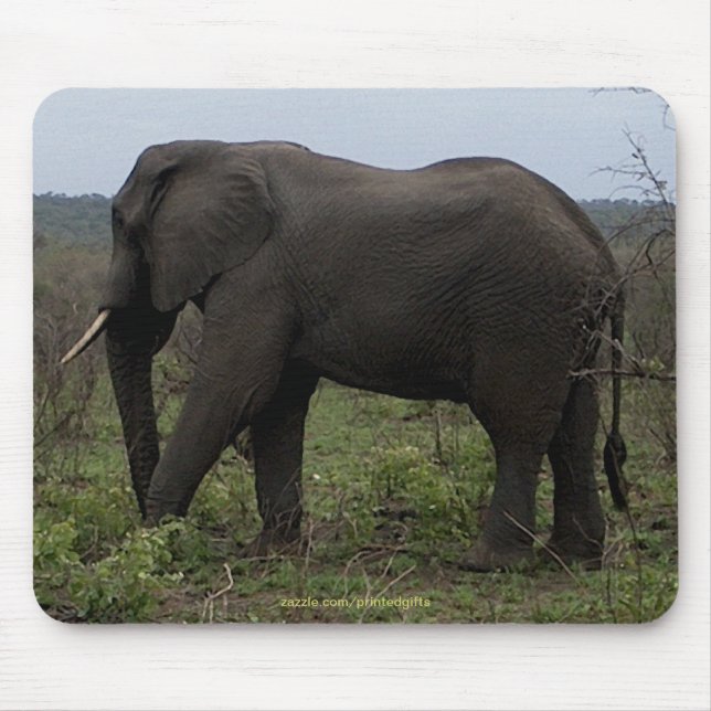 African Elephant Big Five Animal Mousepad (Front)