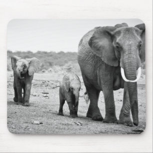 African Elephant & Calves   Kenya, Africa Mouse Pad