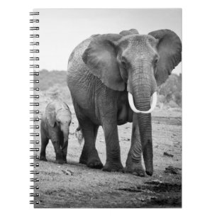 African Elephant & Calves   Kenya, Africa Notebook