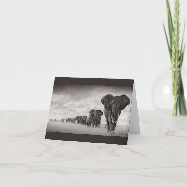 African Elephant Card (Front)