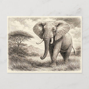 African elephant. Collectable Postcard