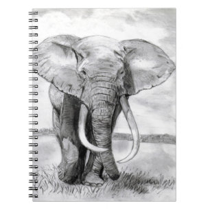 african elephant drawing in pencil design notebook