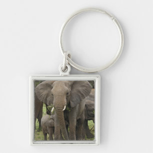 African Elephant   Herd Keychain