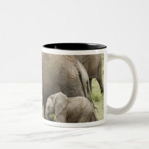 African Elephant herd, Loxodonta africana, 3 Two-Tone Coffee Mug