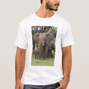 African Elephant herd, Loxodonta africana, T-Shirt