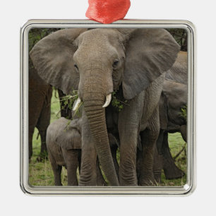 African Elephant Herd Metal Ornament
