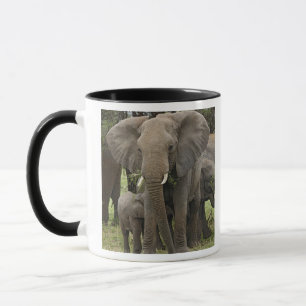 African Elephant Herd Mug