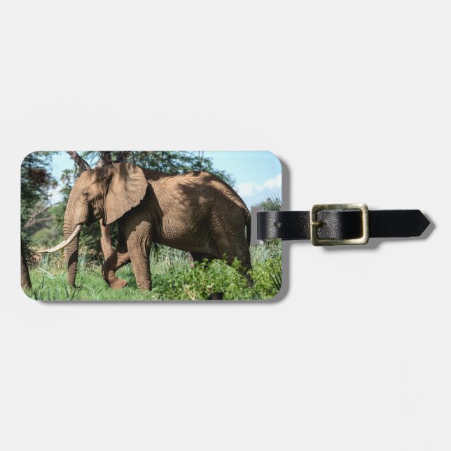 African Elephant in the Safari Luggage Tag (Front Horizontal)