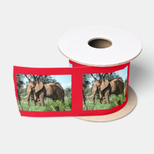 African Elephant in the Safari Satin Ribbon