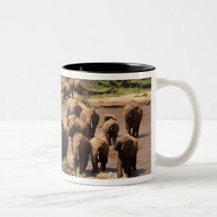 African Elephant, Loxodonta africana, crossing Two-Tone Coffee Mug