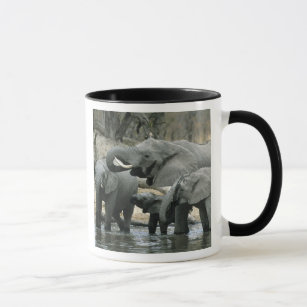 African Elephant, (Loxodonta africana), drinking Mug