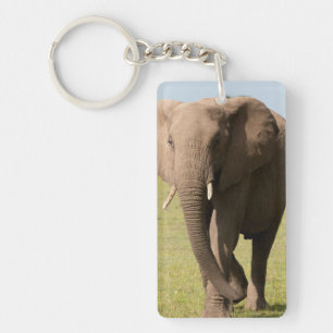 African Elephant (Loxodonta Africana), Maasai Keychain