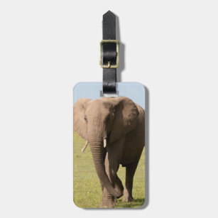 African Elephant (Loxodonta Africana), Maasai Luggage Tag