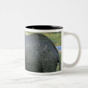 African Elephant, (Loxodonta africana), mud Two-Tone Coffee Mug