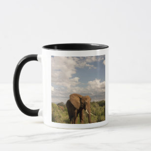 African Elephant, Loxodonta africana, out in a Mug