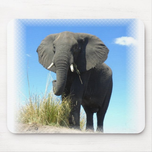 African Elephant Mouse Pad (Front)