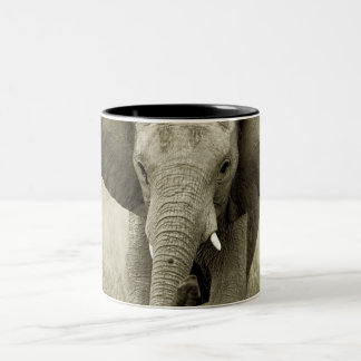African Elephant mugs & cups