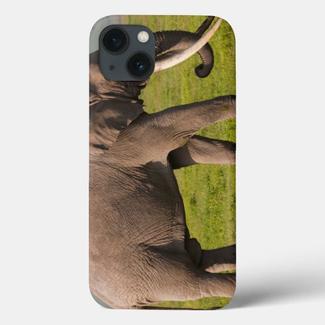 African Elephant, Ngorongoro Conservation Area Case-Mate iPhone Case (Back)
