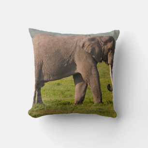 African Elephant, Ngorongoro Conservation Area Throw Pillow