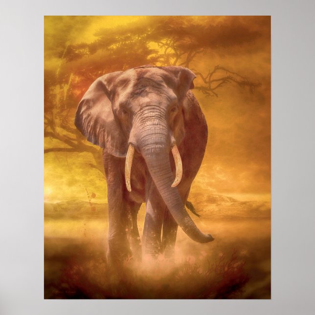 African Elephant Nobility Poster (Front)