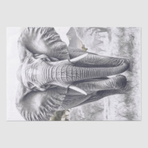 African Elephant Pencil Sketch Tissue Paper