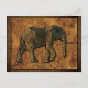 African Elephant Postcards