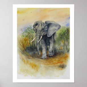 African Elephant Poster