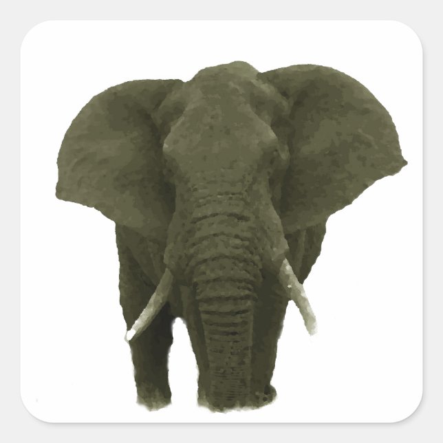 African Elephant Square Sticker (Front)