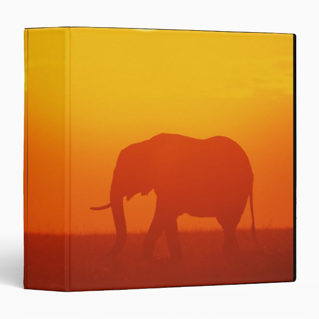 African elephant walking at sunset , Kenya Binder (Front/Spine)