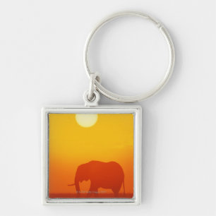 African elephant walking at sunset , Kenya , Keychain