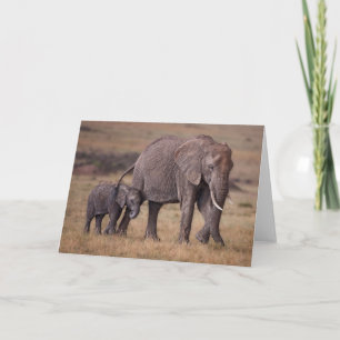 African Elephant with Baby Card
