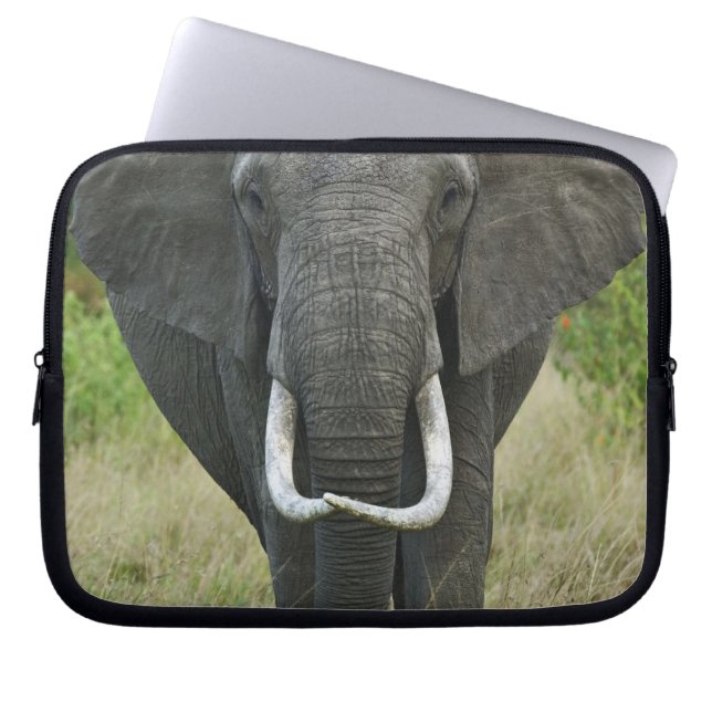 African Elephantna loxodonta, Masai Mara Game Laptop Sleeve (Front)