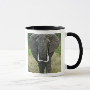 African Elephantna loxodonta, Masai Mara Game Mug