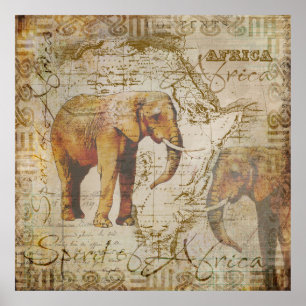 African Elephants.jpg Poster