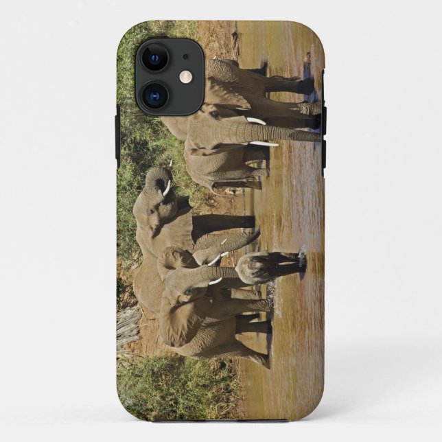 African Elephants, Loxodonta Africana, Samburu Case-Mate iPhone Case (Back)