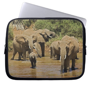 African Elephants, Loxodonta Africana, Samburu Laptop Sleeve