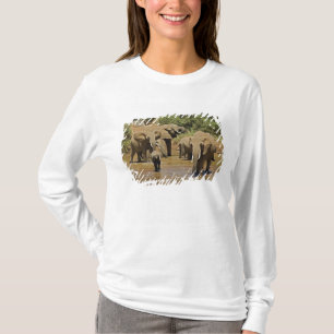 African Elephants, Loxodonta Africana, Samburu T-Shirt