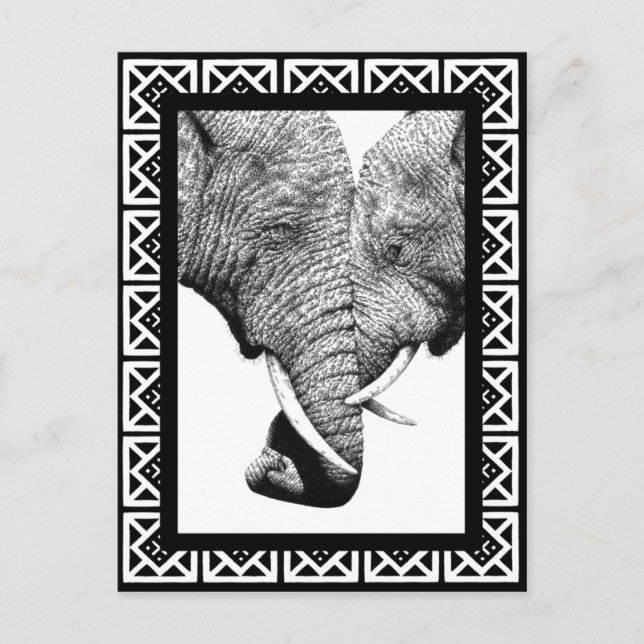 African Elephants Postcard (Front)