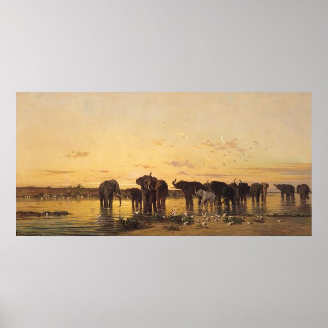 African Elephants Poster (Front)