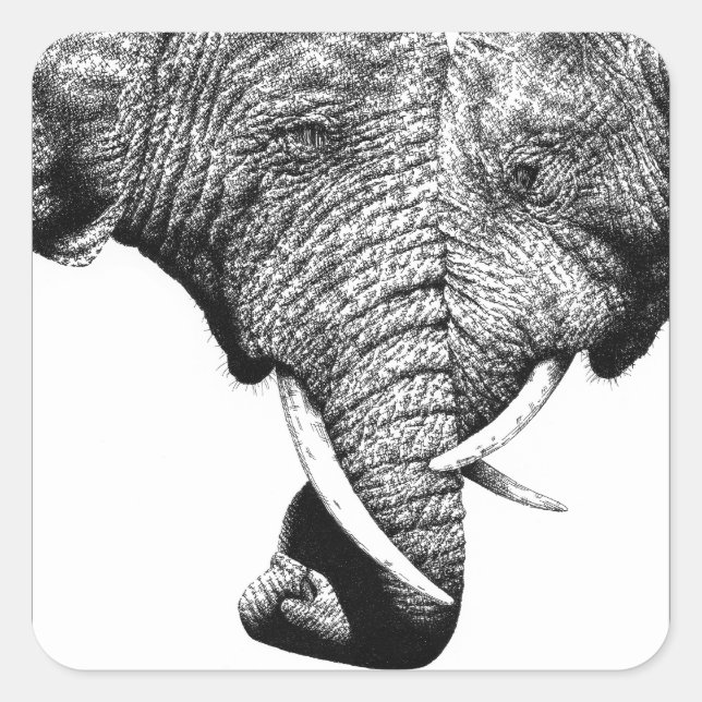 African Elephants Sticker (Front)