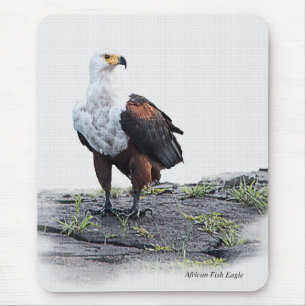 African Fish Eagle on white background Mouse Pad