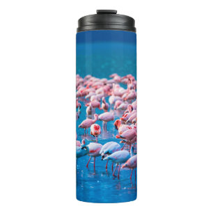 African flamingos. Group of flamingos stand in the Thermal Tumbler