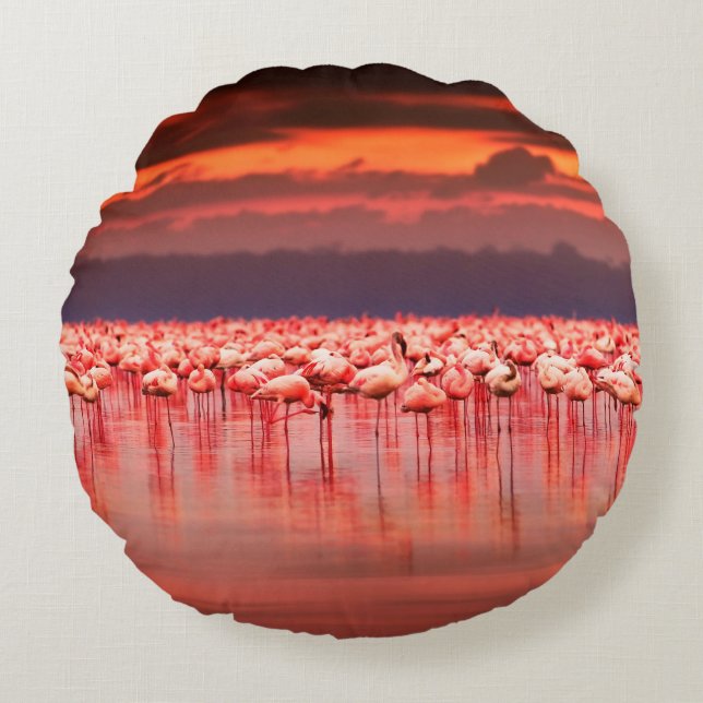 African flamingos in the lake over beautiful sunse round pillow (Front)