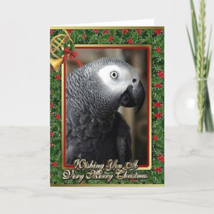 African Gray Parrot Christmas Card