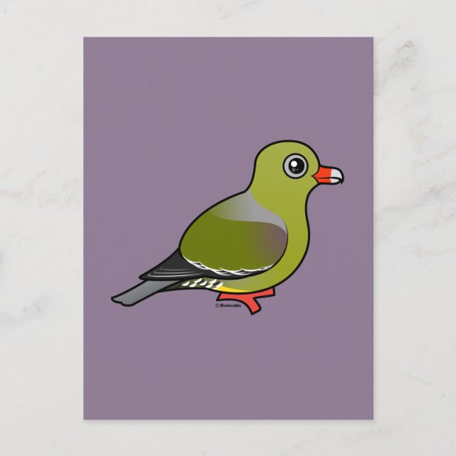 African Green Pigeon Postcard (Front)