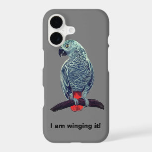 African grey