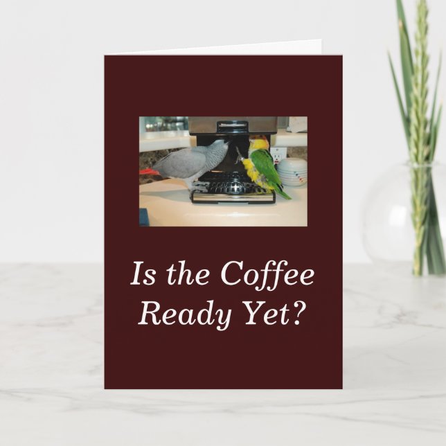 African Grey & Caique Parrot Coffee Friends Card (Front)