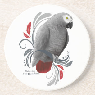 African Grey Coaster