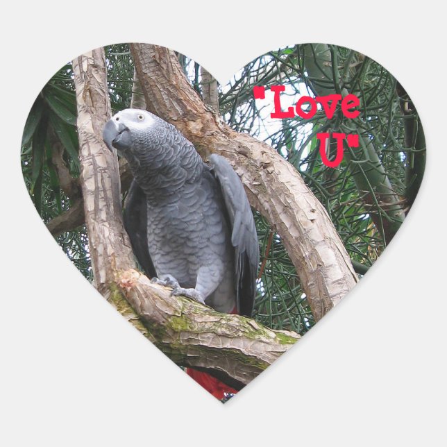 African Grey Heart Sticker (Front)
