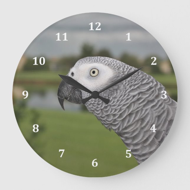African Grey Lakeside Large Clock (Front)